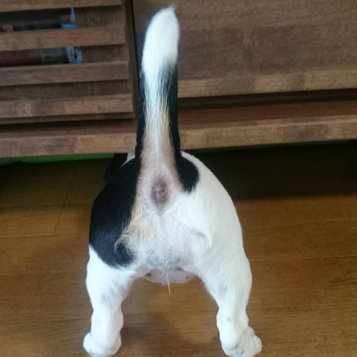 8d685b35 13b0 425e af60 c1afb15f46b8 1511999605450