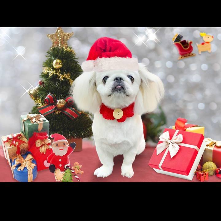 8d686239 0a41 46be 99ee 79eea7b912f7 1702167432293