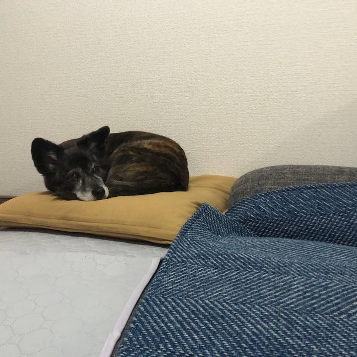 8d686309 d934 4735 9625 2de1ca1d6644 1682500498945