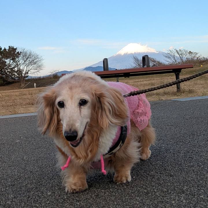 8d68d1ee 156c 40f5 9e2b 776eed84797b 1767174425020