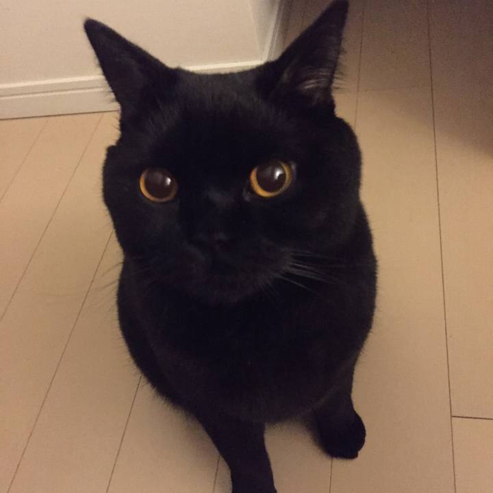 8d68e2d4 3f04 4c03 9f69 b972eed8f8f7 1511868640694