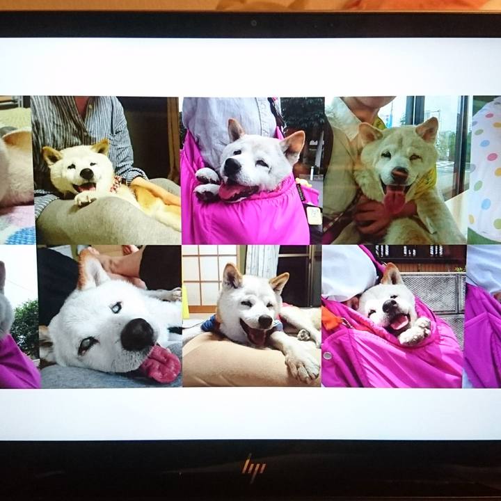 8d69087b 85fa 4fb3 b0b5 42990a35416b 1558568876004