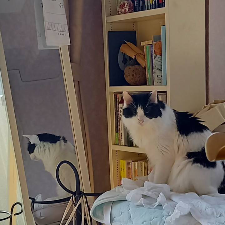 8d692a2f 304c 4ad4 b31e cb384a8cde02 1654810804821