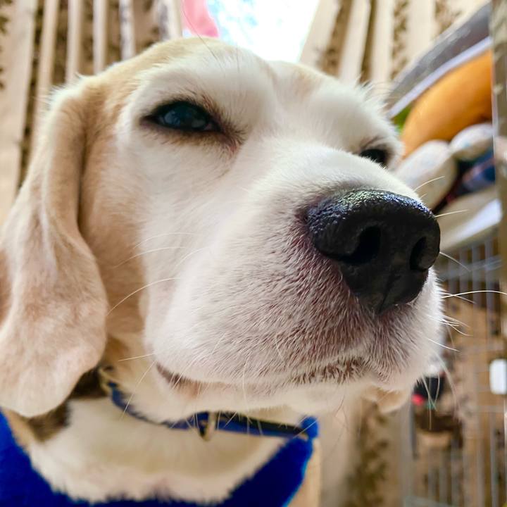 8d692be2 06e0 4a12 9e45 65d3bacab5be 1610770476336