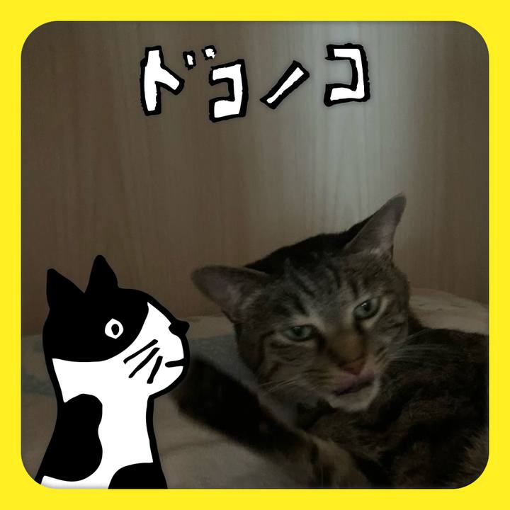 8d69616e 2faf 47a0 b2de fad11838cd54 1623121546420