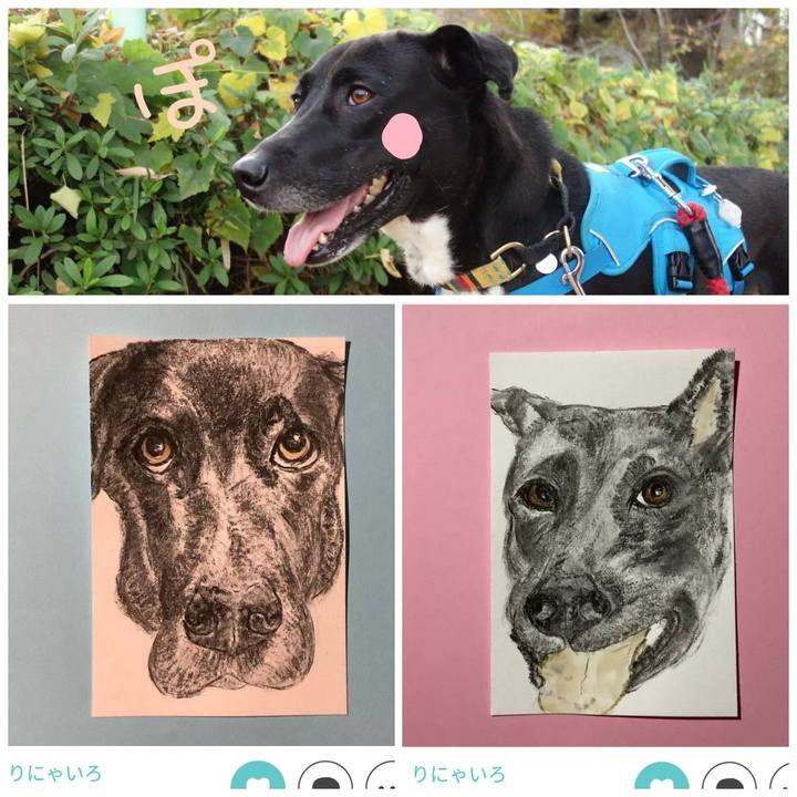 8d697b32 1cdb 4411 beef fcf6039f3deb 1606398245206