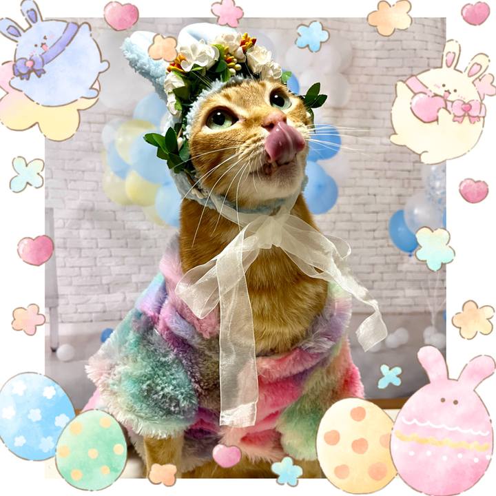 8d69d35d 5f95 47b9 ada0 7456e01939a4 1680994104660