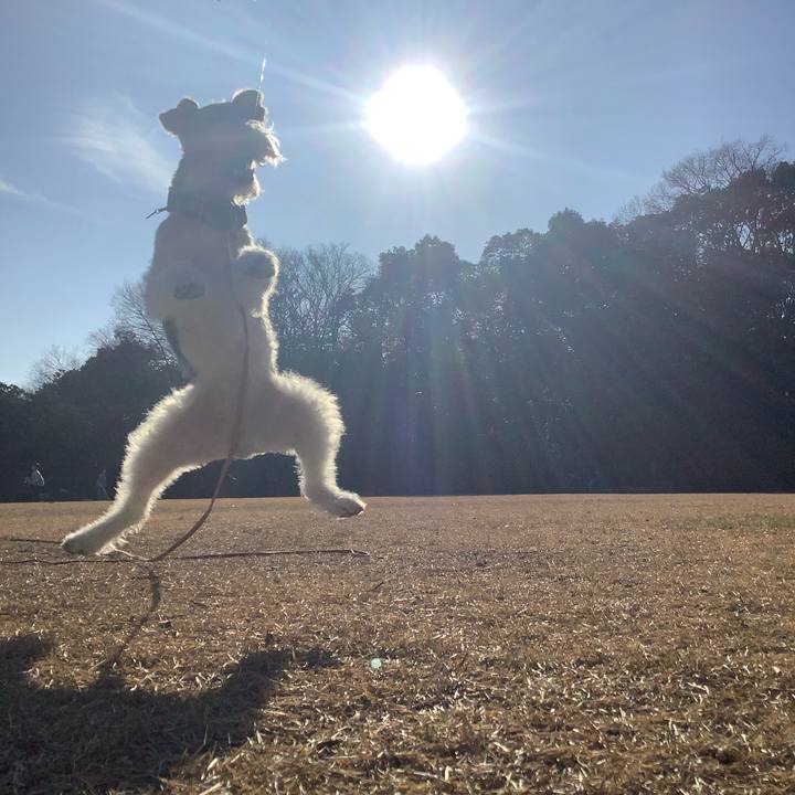 8d69d418 0199 458e ade8 da781f7f415c 1768483468594