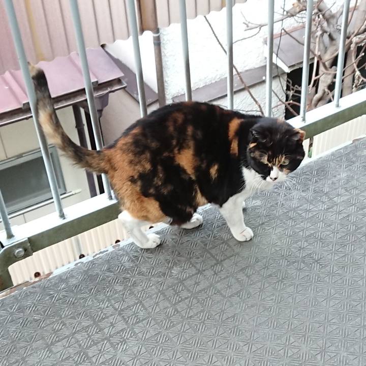 8d69f005 23ff 45bc 9fc5 fe1cba10e13b 1614248596764