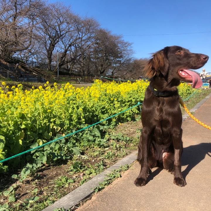 8d6a340e 6465 43b1 9b5d 671e43f2bcf5 1580623114559