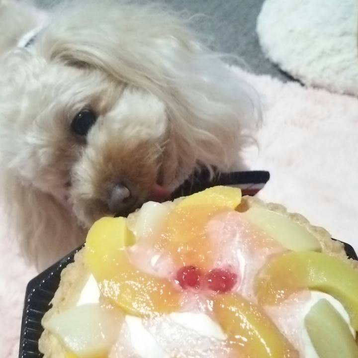 8d6a3f30 3553 4e0e af58 701d75e0f7da 1520164411741