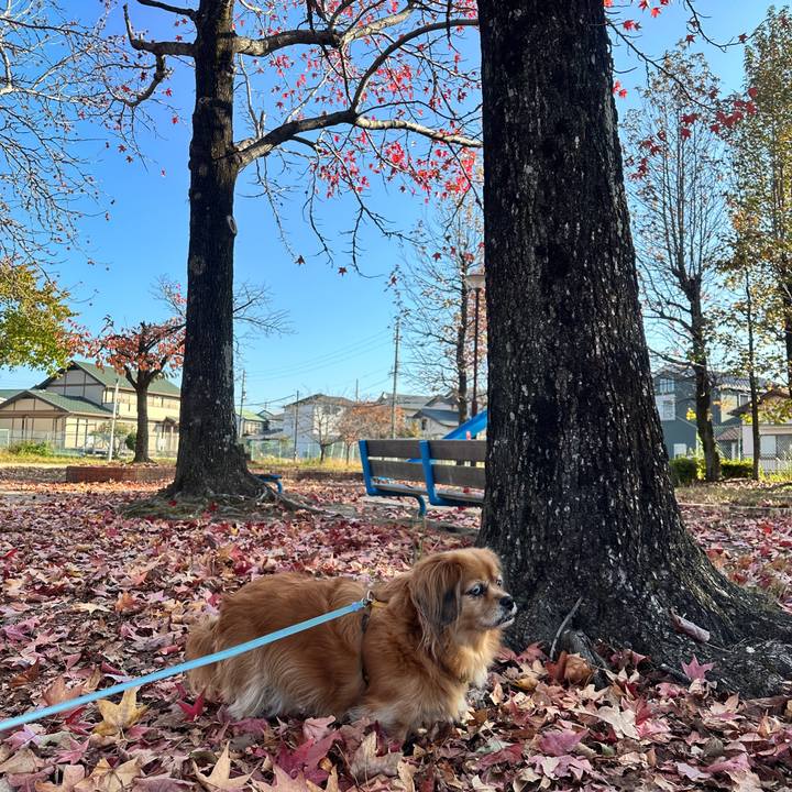 8d6a41ab bd30 4259 bfa3 49c726253143 1763253090632