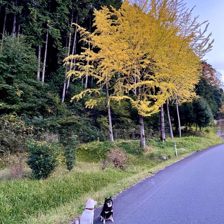 8d6a7ca5 e33e 4d03 9c85 7d3852a13031 1636103952582