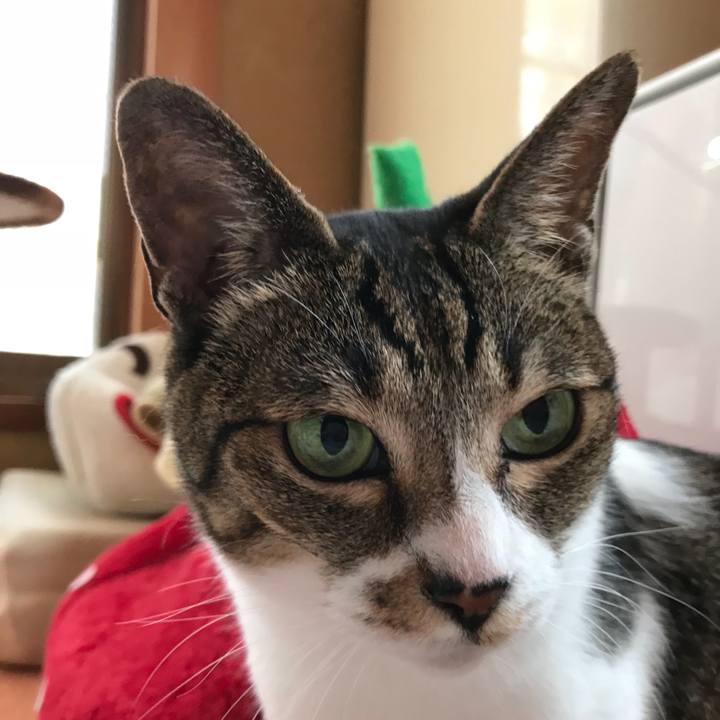 8d6a8574 e7a2 4bee aaf6 38051fc24cdb 1532049604955