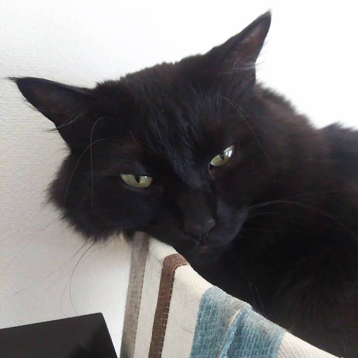 8d6ab486 28d9 42ae 93dc bd8be4703cef 1525493662255