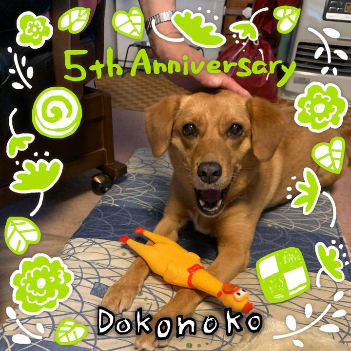 8d6adb31 0f72 454e 9baf f3c0ce1bb825 1622881315027