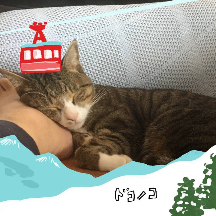 8d6aecc9 0d57 4757 9a76 b40f86cc5e7a 1706756600717