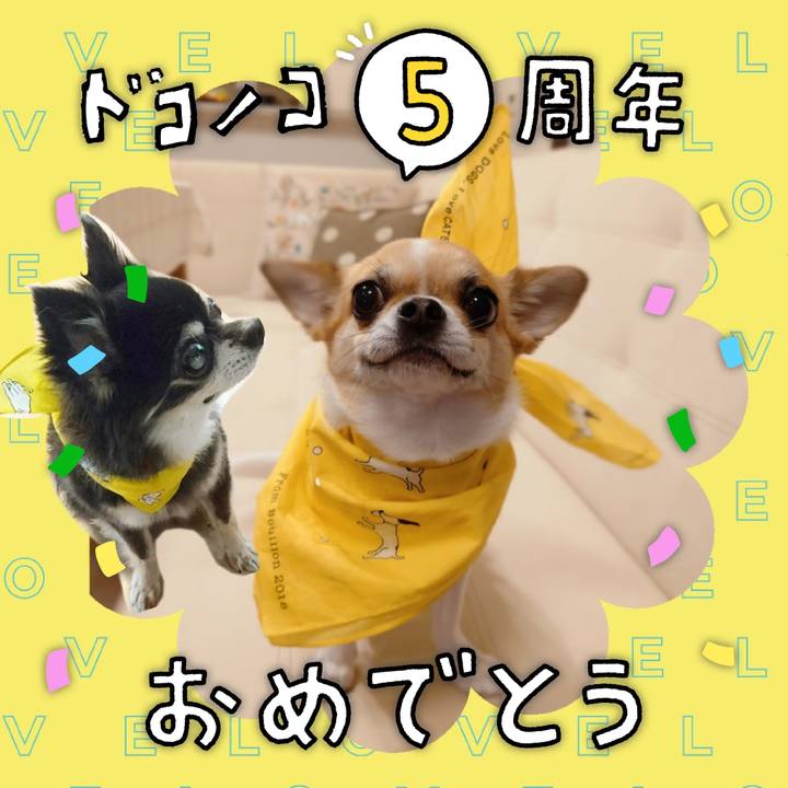 8d6b7704 9ade 4e19 a932 99e93e8b0312 1622853729234