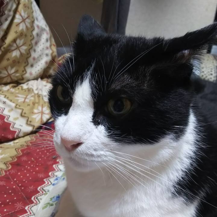 8d6b7bcc 5628 47ea 80c8 5bc46a48e409 1567115750274