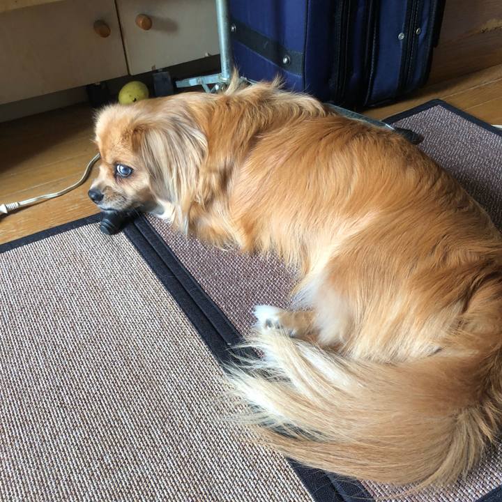 8d6bcd54 7cbc 4fe8 aee6 a2172f995e4d 1532811172527