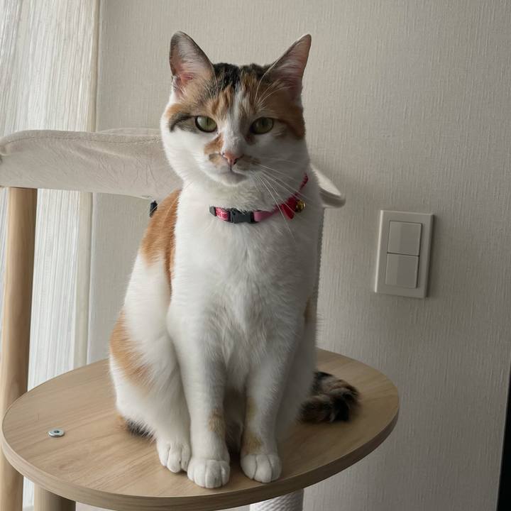 8d6c0468 1bcf 4c22 97df 6d1a04792265 1617754897046