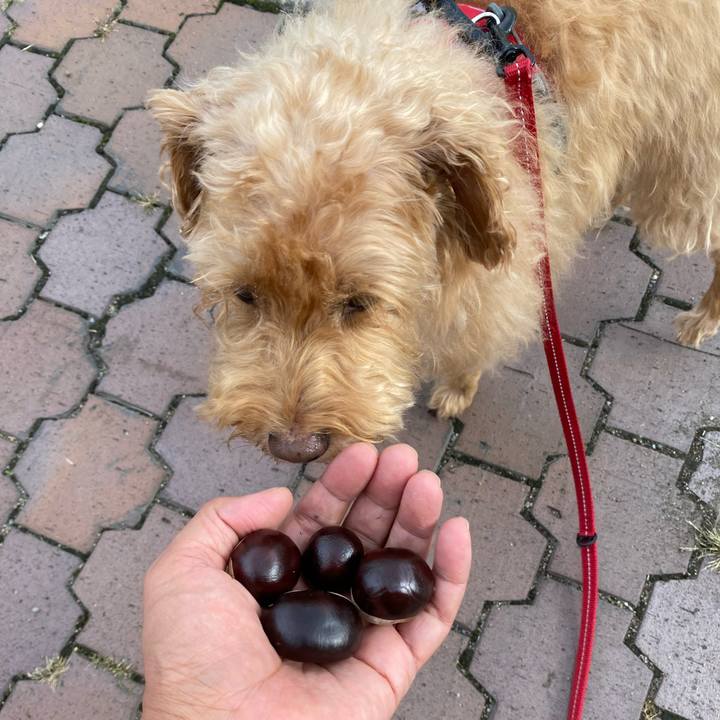 8d6c3965 89a1 481c 9cc0 f40717784205 1695037802593