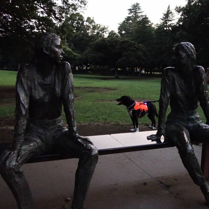 8d6c4399 3e1d 4dd5 8e96 e4a58c783e64 1720091150555