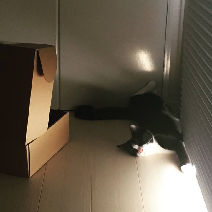 8d6c54ae f56f 40d8 b84f 38f4caf4cf0d 1533358489334