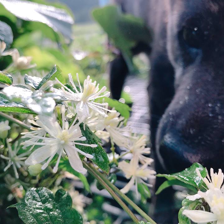 8d6ca661 6809 4573 8d40 b406d65add9d 1535880385720