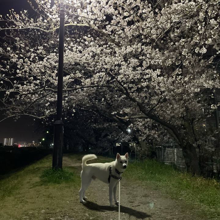 8d6cb6c9 a830 4499 bcb5 fd6586d8c4c1 1679746549989