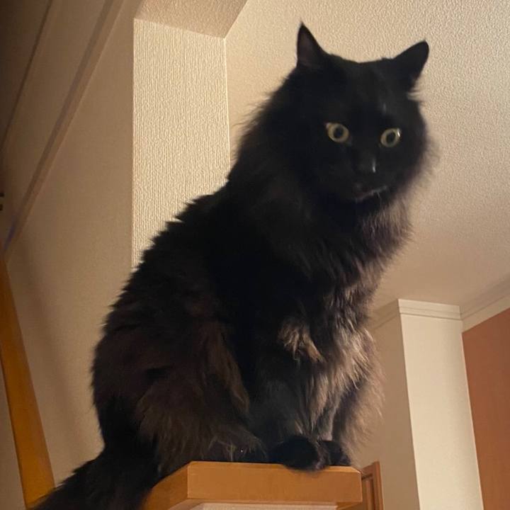 8d6cb6cc 2b97 4a7a a675 a1cf22099f11 1576748695129