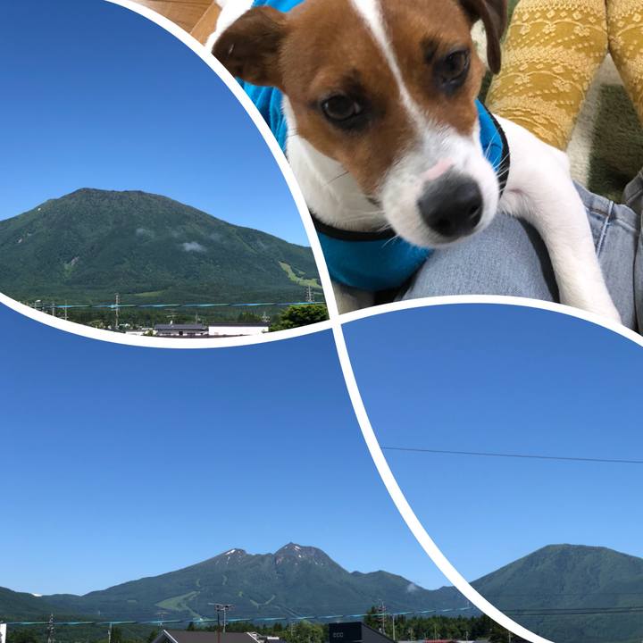 8d6cbb1e f6ed 499d 934c db79615d96d0 1528935211949