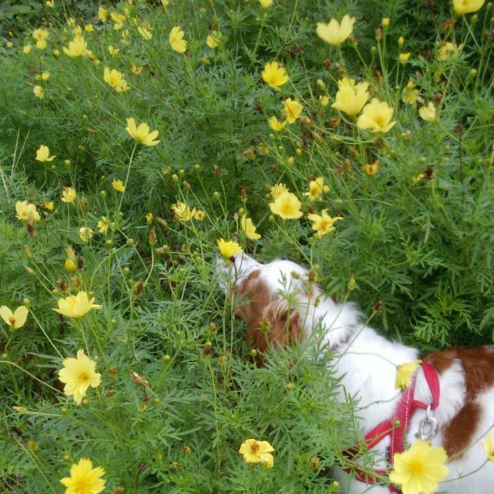 8d6cda10 ab72 4f8e bd29 7a6ac04c55a5 1536710421197