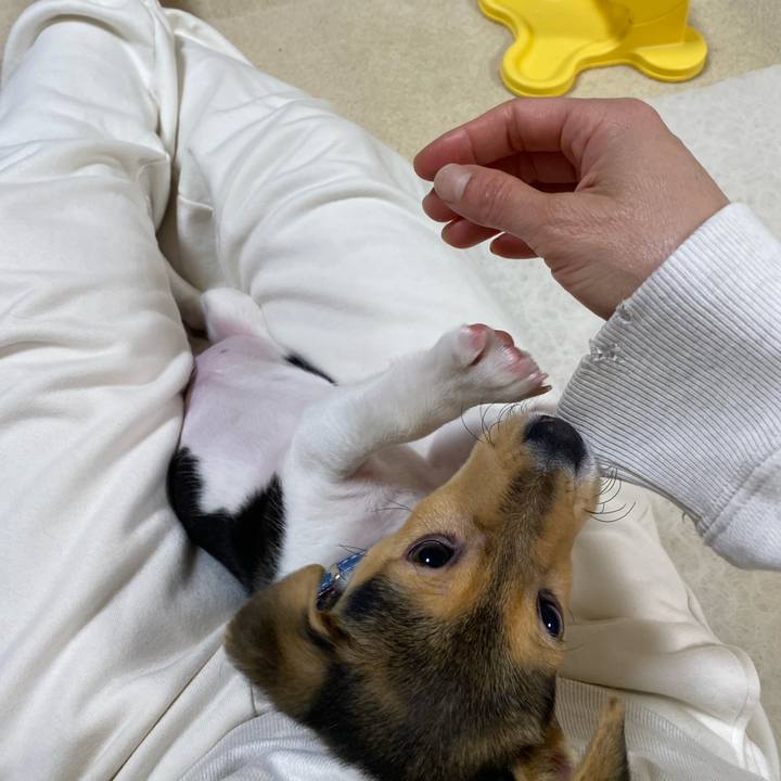 8d6d22ea fa07 4488 addc 7b0fac517aac 1742996104392