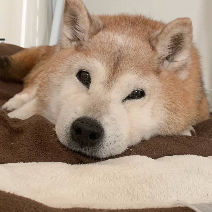 8d6d38c5 54fe 4908 bc71 196ad6bb659a 1686028397091