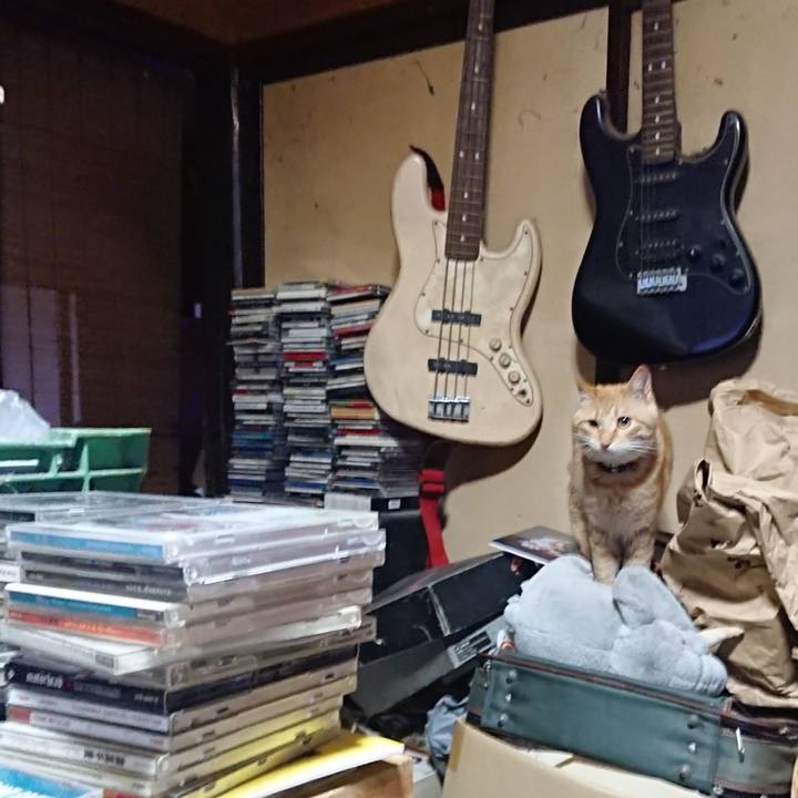 8d6d3ed2 e7a8 4498 8872 5365cc3b3b6d 1651023522418