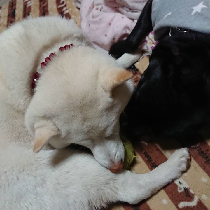 8d6d426d 574e 4a6c a44e 3e2d2fb81c73 1583316736311