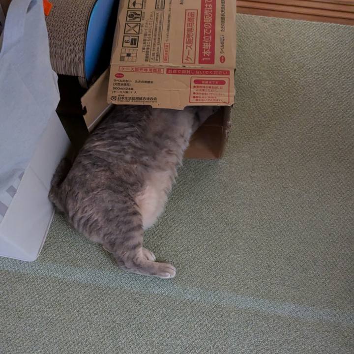 8d6d8d97 f553 4ae3 aa3e 95999fe41222 1726814685601