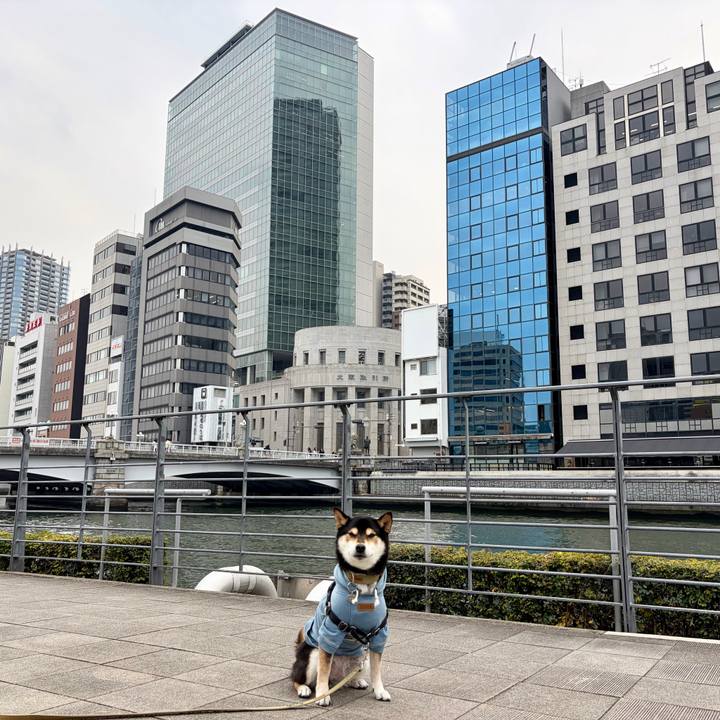 8d6e35a6 ee13 4934 9ecd e2b9fb966471 1767166408849