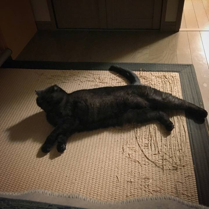 8d6e392a a747 4e8b a6e3 239ea15e6032 1512109988357