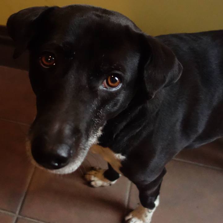 8d6e47b0 1e8b 4e02 9db1 b8479c6cd1b4 1682213647843