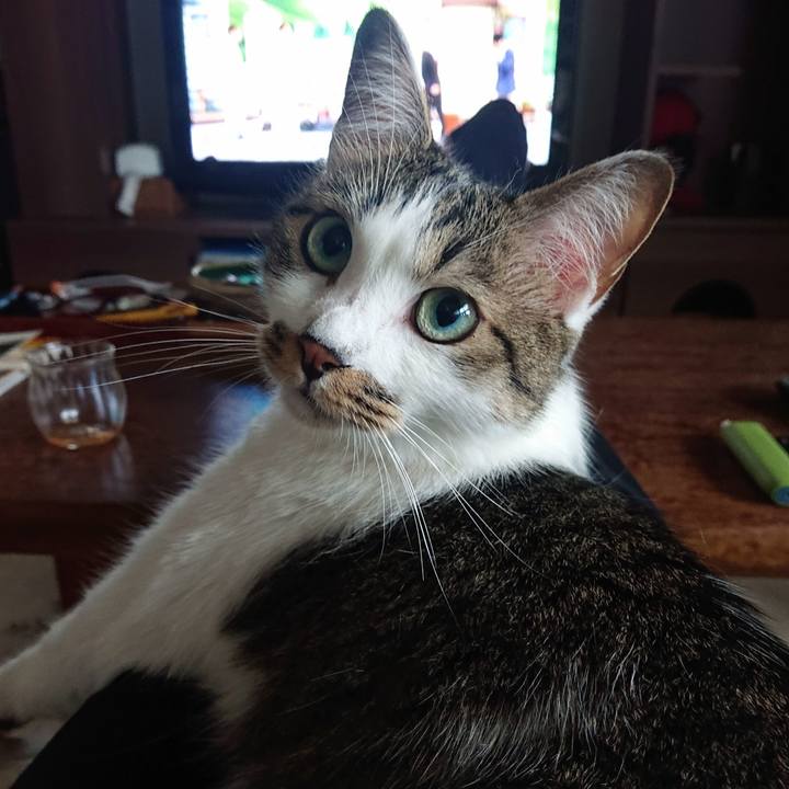 8d6e49f5 f146 4dd3 bf4b 577d29644250 1655526015431