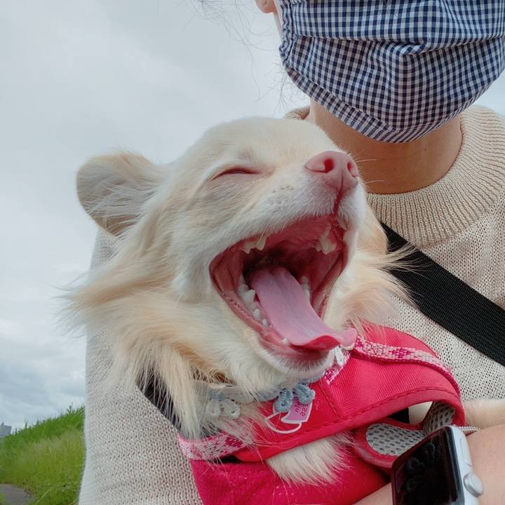 8d6e8f36 34bd 4990 a6f0 0483765d6533 1621587207661