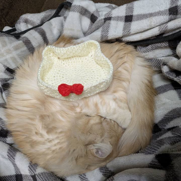 8d6ea21e fa24 4528 93b8 394cc99ae0fc 1768922797191