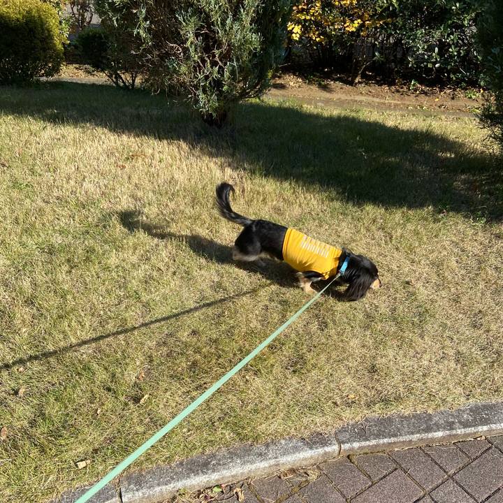 8d6eea43 c4d3 46aa 986c 24cc8b3a6019 1734497899681