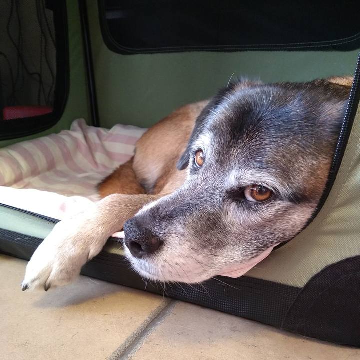 8d6ef5fd 186b 467b be22 7e28c4c5770f 1548654681368