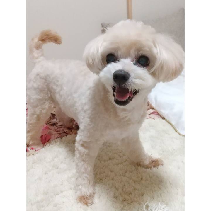 8d6efa32 52d4 43b3 846a 6a49dddb2944 1631366187437