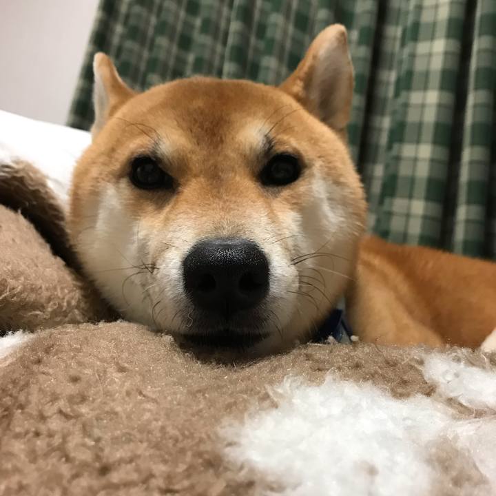 8d6f39ec 34b8 402f 9b51 ef23f08b7a61 1583803120507