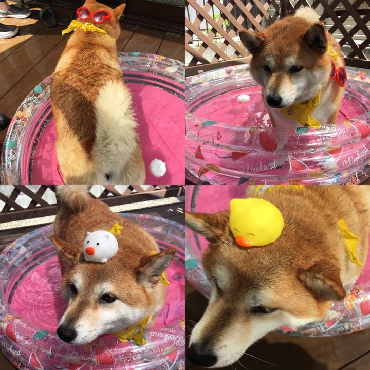 8d6f87c8 46ea 48fc a636 cfd821b48a7f 1597553902880