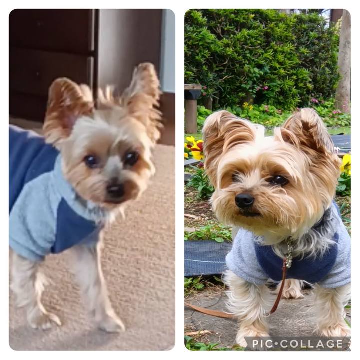 8d6fa70f 4cd7 4bf1 a509 6983e2149c65 1733634567176